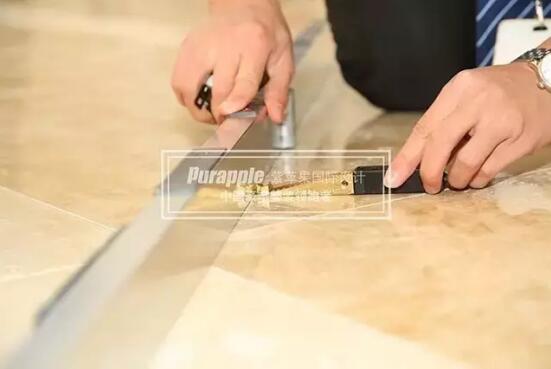 無(wú)錫紫蘋(píng)果裝飾