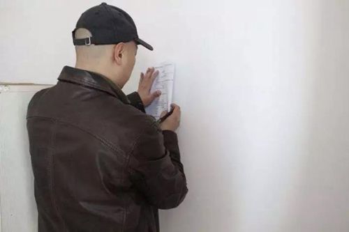 無錫紫蘋果裝飾