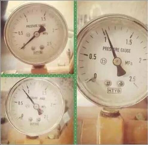 無錫紫蘋果裝飾