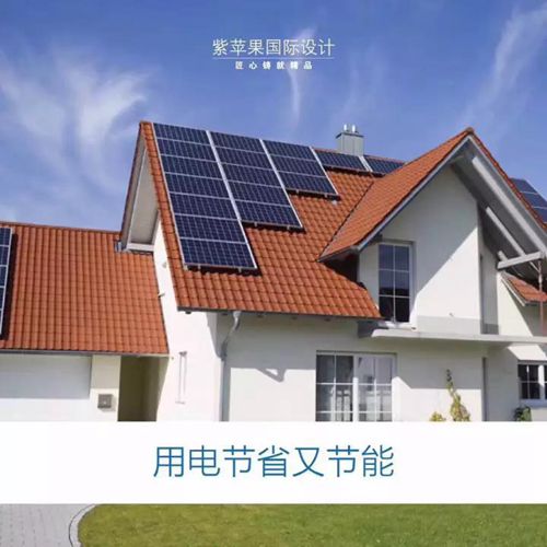 無錫紫蘋果裝飾