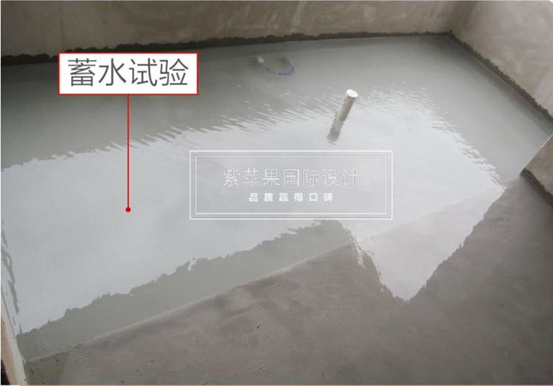 紫蘋果國(guó)際設(shè)計(jì) (3).jpg