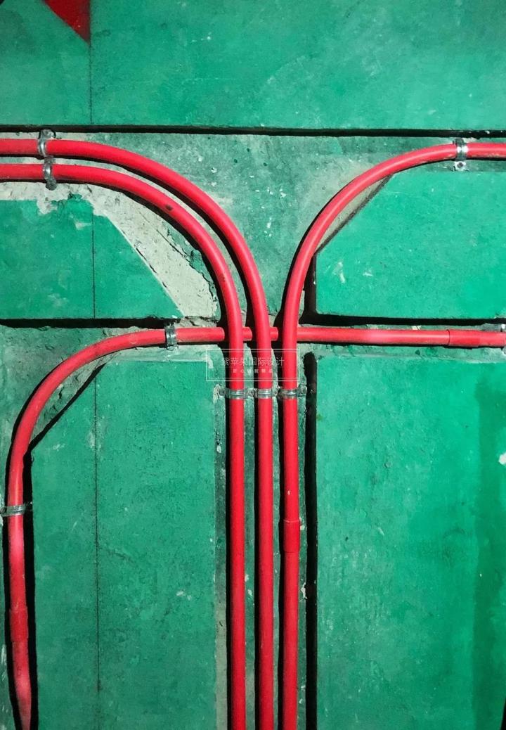 無錫紫蘋果裝飾