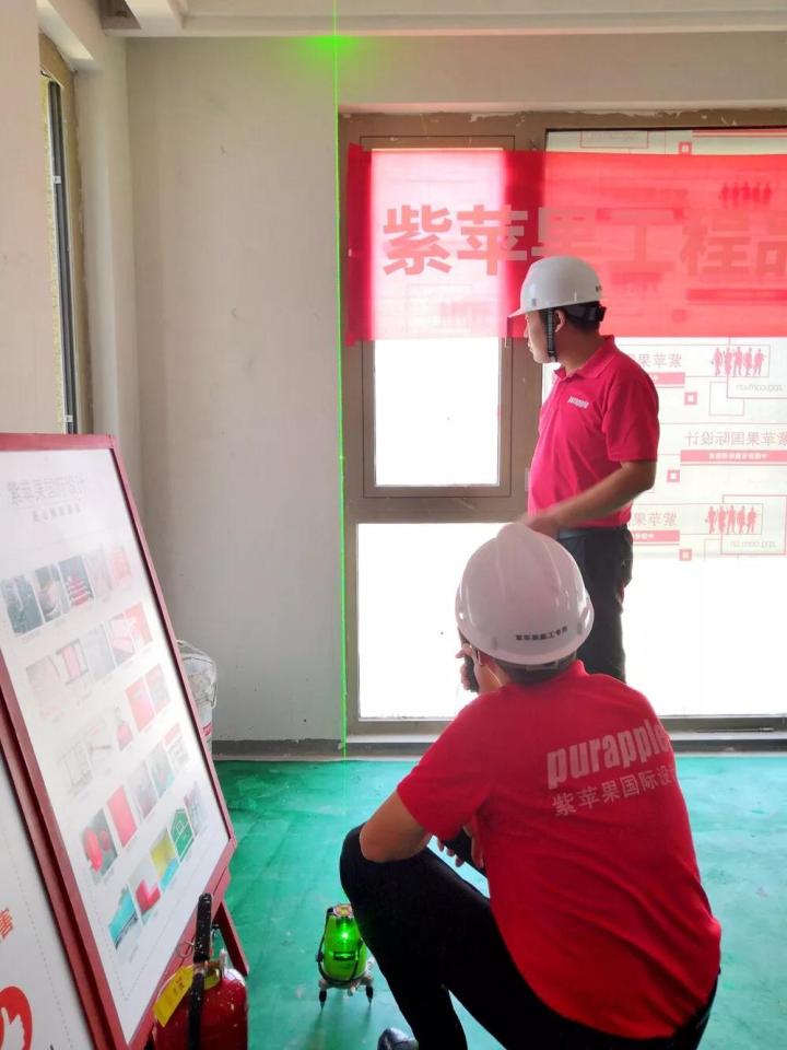 無錫紫蘋果裝飾